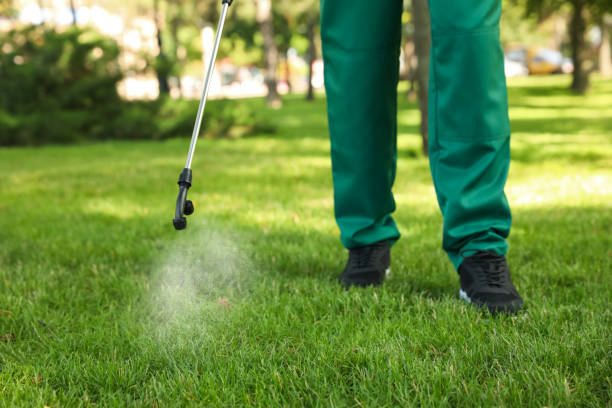 Best Residential Pest Control  in Arcanum, OH