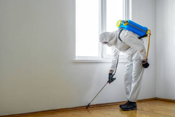 Best Rat Extermination Near Me  in Arcanum, OH