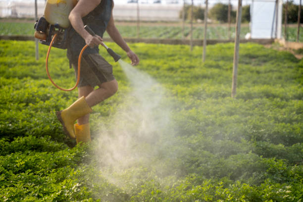 Best Pest Control Near Me in Arcanum, OH