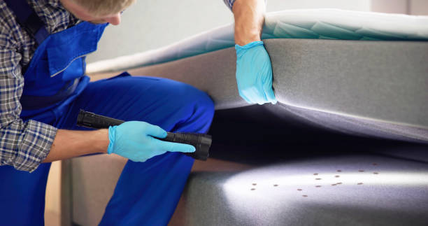 Best Bed Bug Extermination  in Arcanum, OH