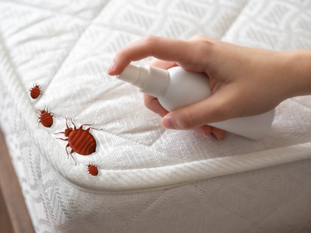 Best Pest Prevention Services  in Arcanum, OH
