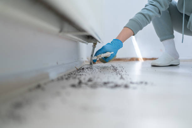 Reliable Arcanum, OH Pest Control Solutions